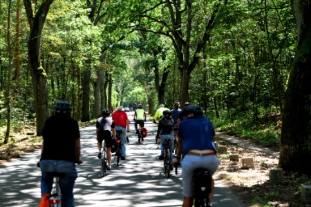 Critical Mass Havelchaussee 2020-07-12 42