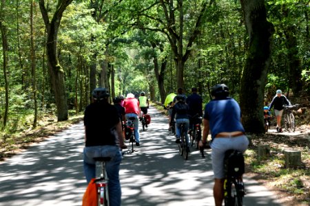 Critical Mass Havelchaussee 2020-07-12 41