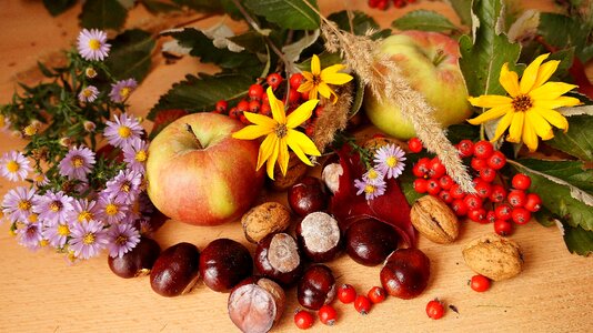 Fruit autumn flowers