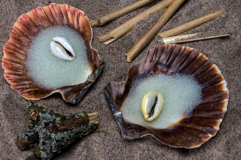 Straw still life shells in sand
