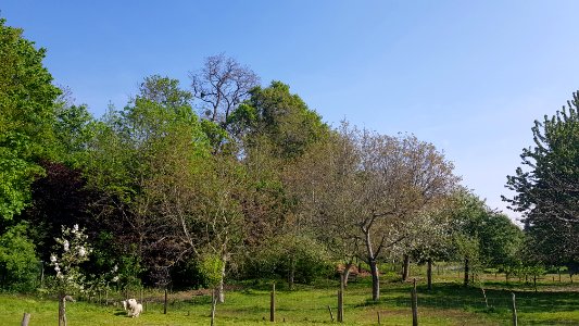 Craubeek-Auvermennekesloak (7)