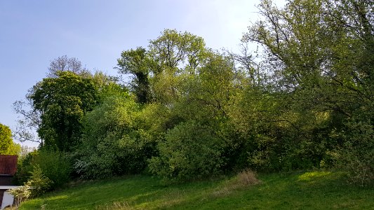 Craubeek-Groeve Sevensprong (1)