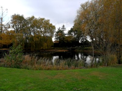 Cratère de mine de St-Éloi