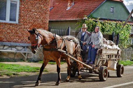 Wagon farm wagon agriculture photo