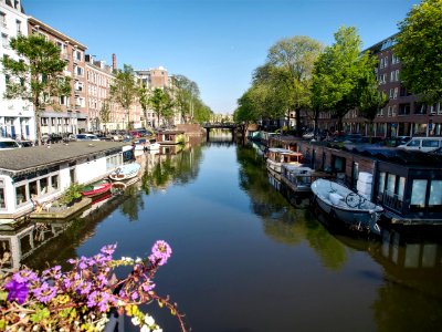Da Costagracht met brug 183 foto 2