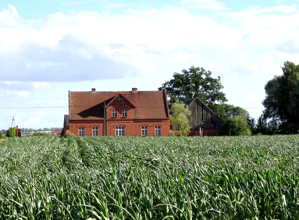 Dabrowa Wielka 16 7-2015