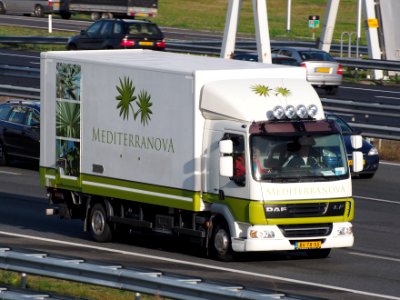 DAF FA LF45G08, MediterranovA