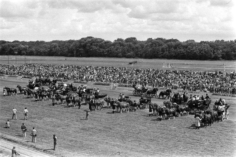 Dag van het paard op Duindigt, overzicht, Bestanddeelnr 928-7039