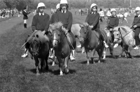 Dag van het Paard, op Duindigt, finish van een pony-ren, Bestanddeelnr 925-7325