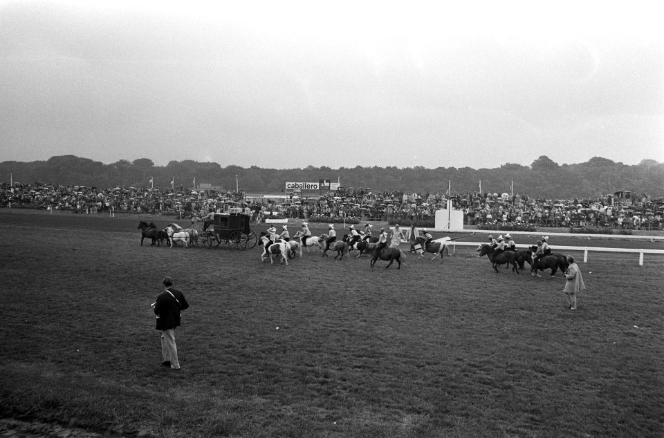Dag van het paard op Duindigt, Bestanddeelnr 926-5415
