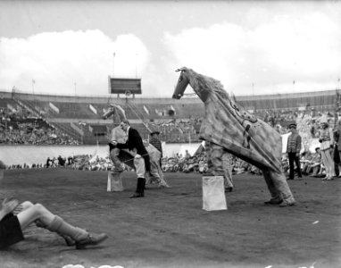 Dag van de Jeugd . Circus, Bestanddeelnr 902-8369