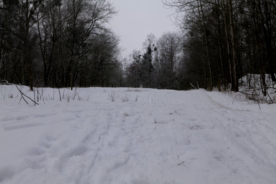 Döberitzer Heide round trail with snow 2021-02-14 24