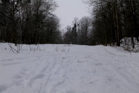 Döberitzer Heide round trail with snow 2021-02-14 24