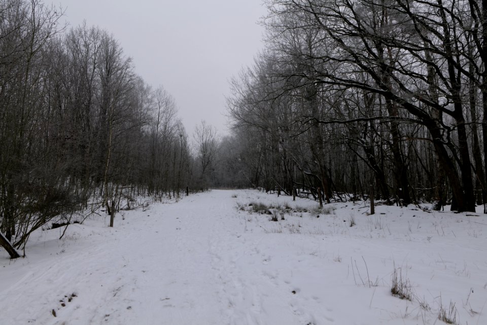 Döberitzer Heide round trail with snow 2021-02-14 21