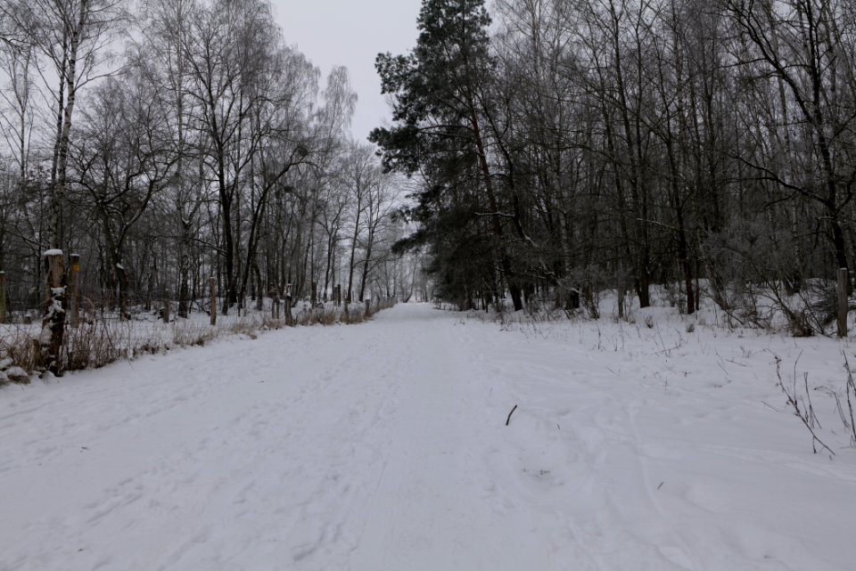 Döberitzer Heide round trail with snow 2021-02-14 26