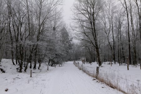 Döberitzer Heide round trail with snow 2021-02-14 30