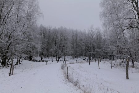 Döberitzer Heide round trail with snow 2021-02-14 35