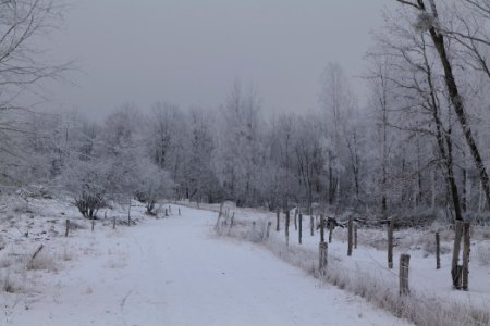 Döberitzer Heide round trail with snow 2021-02-14 53