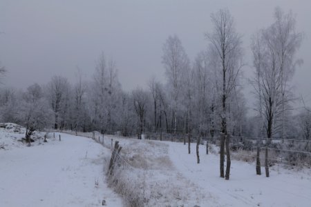 Döberitzer Heide round trail with snow 2021-02-14 50