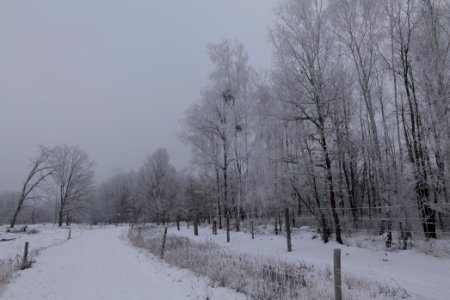 Döberitzer Heide round trail with snow 2021-02-14 36