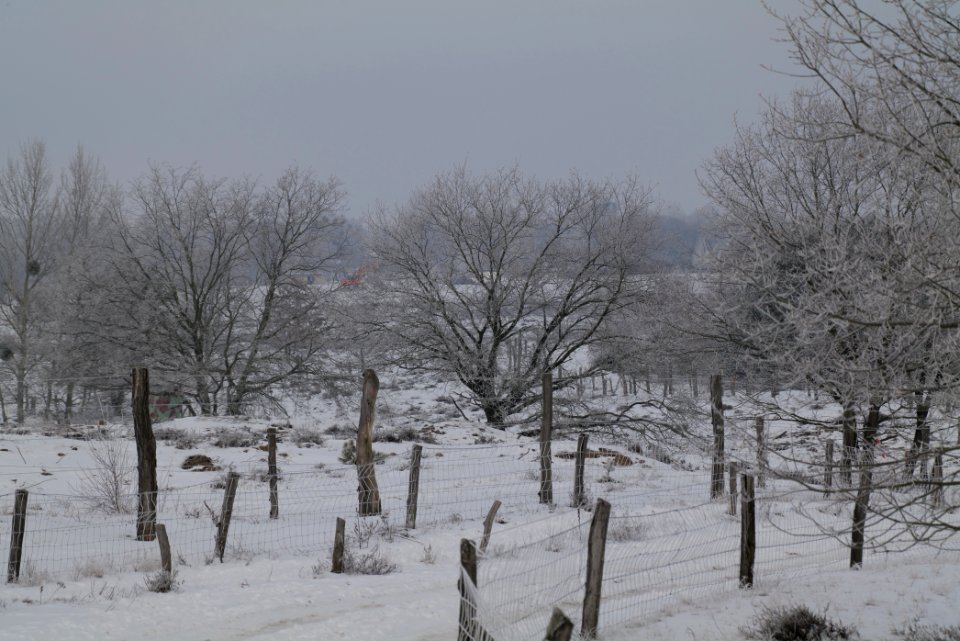 Döberitzer Heide round trail with snow 2021-02-14 91