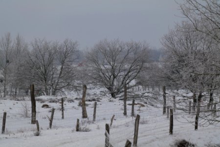 Döberitzer Heide round trail with snow 2021-02-14 91