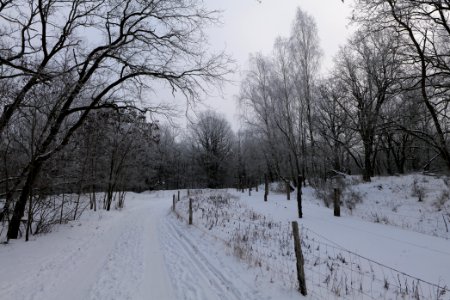 Döberitzer Heide round trail with snow 2021-02-14 78