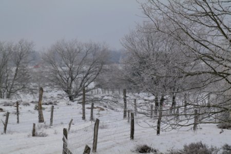 Döberitzer Heide round trail with snow 2021-02-14 90