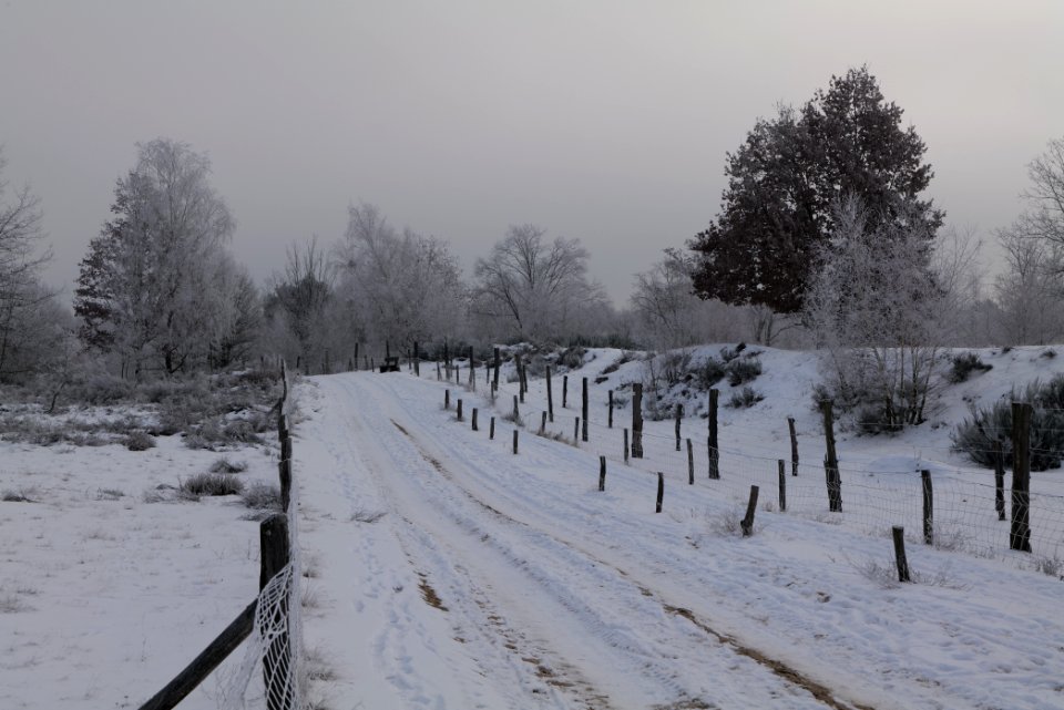 Döberitzer Heide round trail with snow 2021-02-14 89