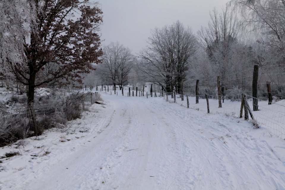 Döberitzer Heide round trail with snow 2021-02-14 85