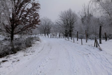 Döberitzer Heide round trail with snow 2021-02-14 85