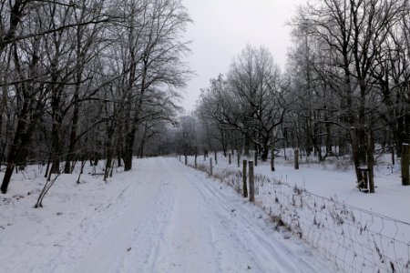 Döberitzer Heide round trail with snow 2021-02-14 80