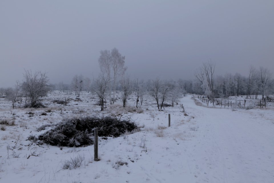Döberitzer Heide round trail with snow 2021-02-14 55
