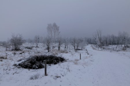 Döberitzer Heide round trail with snow 2021-02-14 55