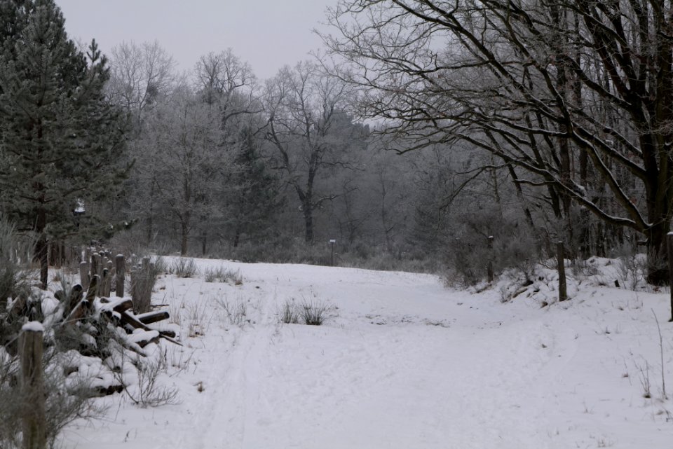 Döberitzer Heide round trail with snow 2021-02-14 18