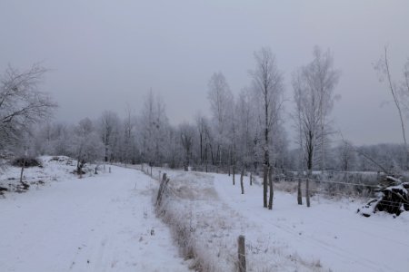 Döberitzer Heide round trail with snow 2021-02-14 49
