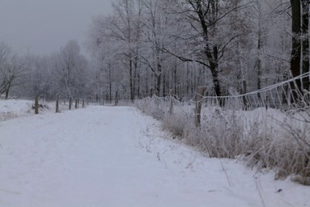 Döberitzer Heide round trail with snow 2021-02-14 48