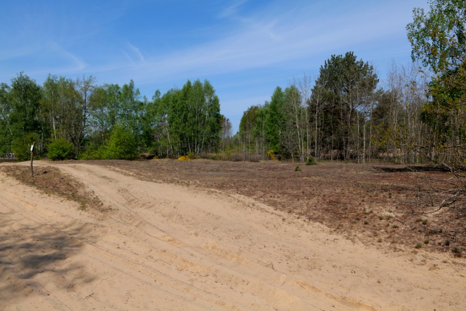 Döberitzer Heide open landscape 2020-05-08 212