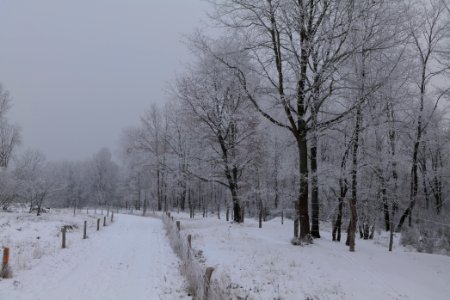 Döberitzer Heide round trail with snow 2021-02-14 45