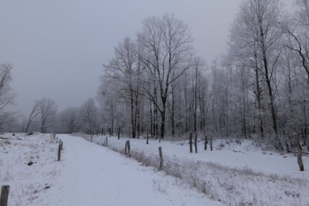 Döberitzer Heide round trail with snow 2021-02-14 39