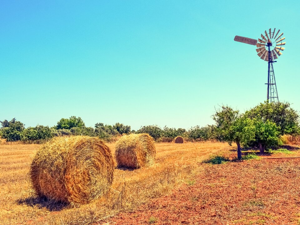 Agriculture landscape rural