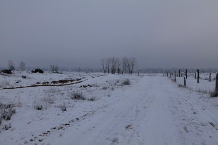 Döberitzer Heide round trail with snow 2021-02-14 62