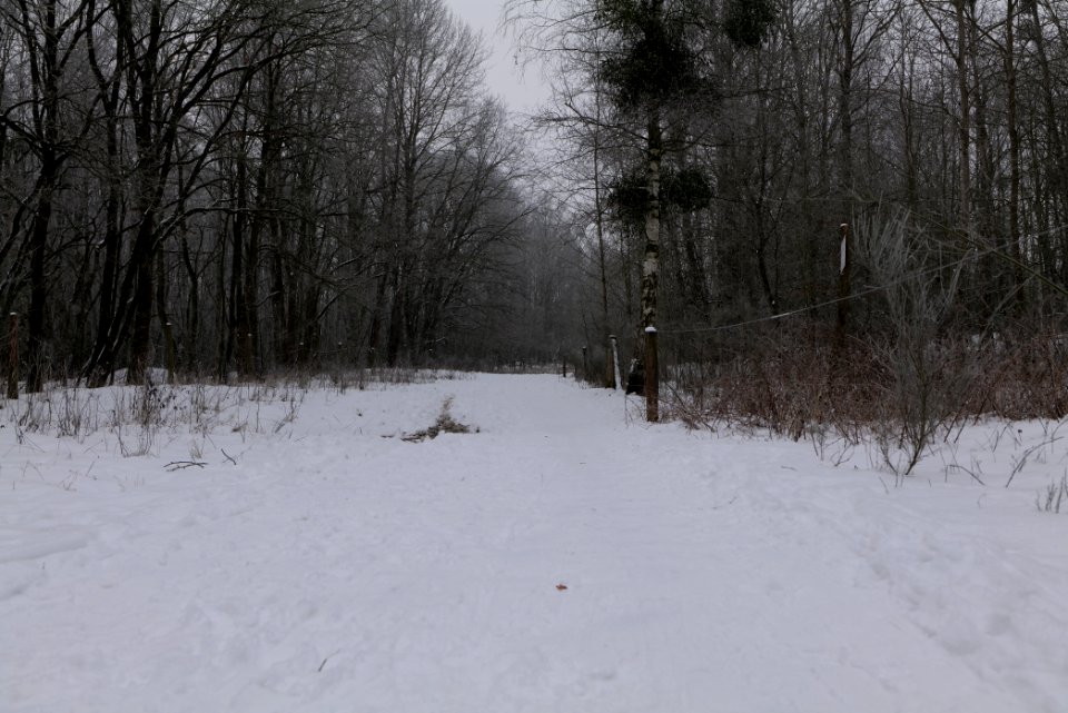 Döberitzer Heide round trail with snow 2021-02-14 15