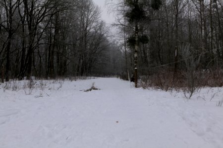 Döberitzer Heide round trail with snow 2021-02-14 15