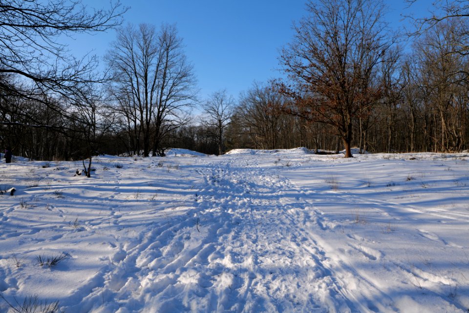 Döberitzer Heide round trail with snow 2021-02-14 148