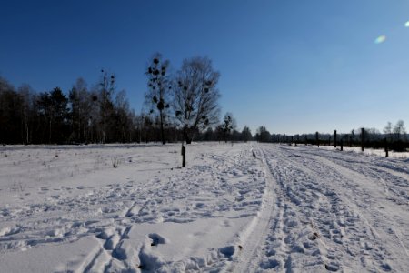 Döberitzer Heide round trail with snow 2021-02-14 144