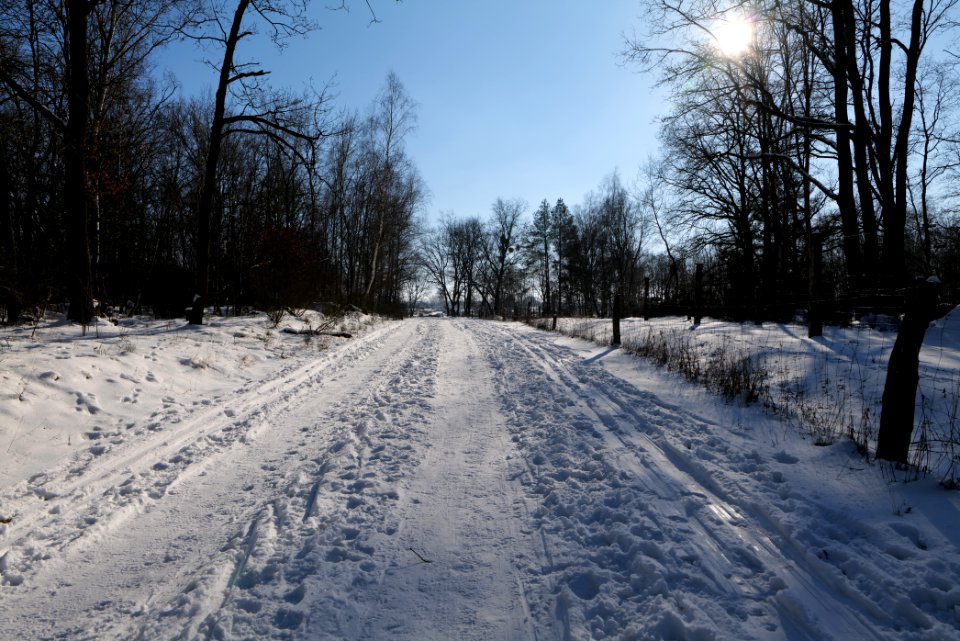 Döberitzer Heide round trail with snow 2021-02-14 146