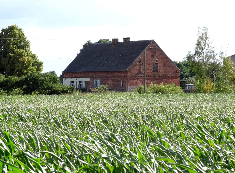 Dabrowa Wielka 7 7-2015