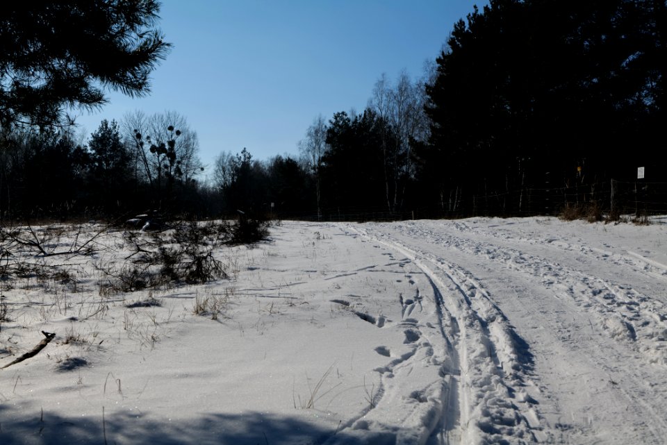 Döberitzer Heide round trail with snow 2021-02-14 138