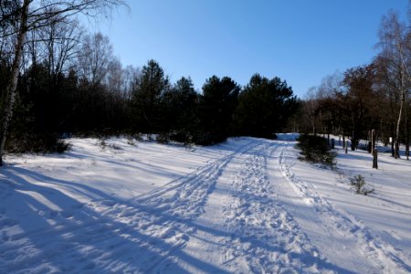 Döberitzer Heide round trail with snow 2021-02-14 132